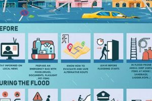 Essential Disaster Safety Rules & Tips | Disaster Information Hub – Latest Natural Disaster News & Emergency Resources