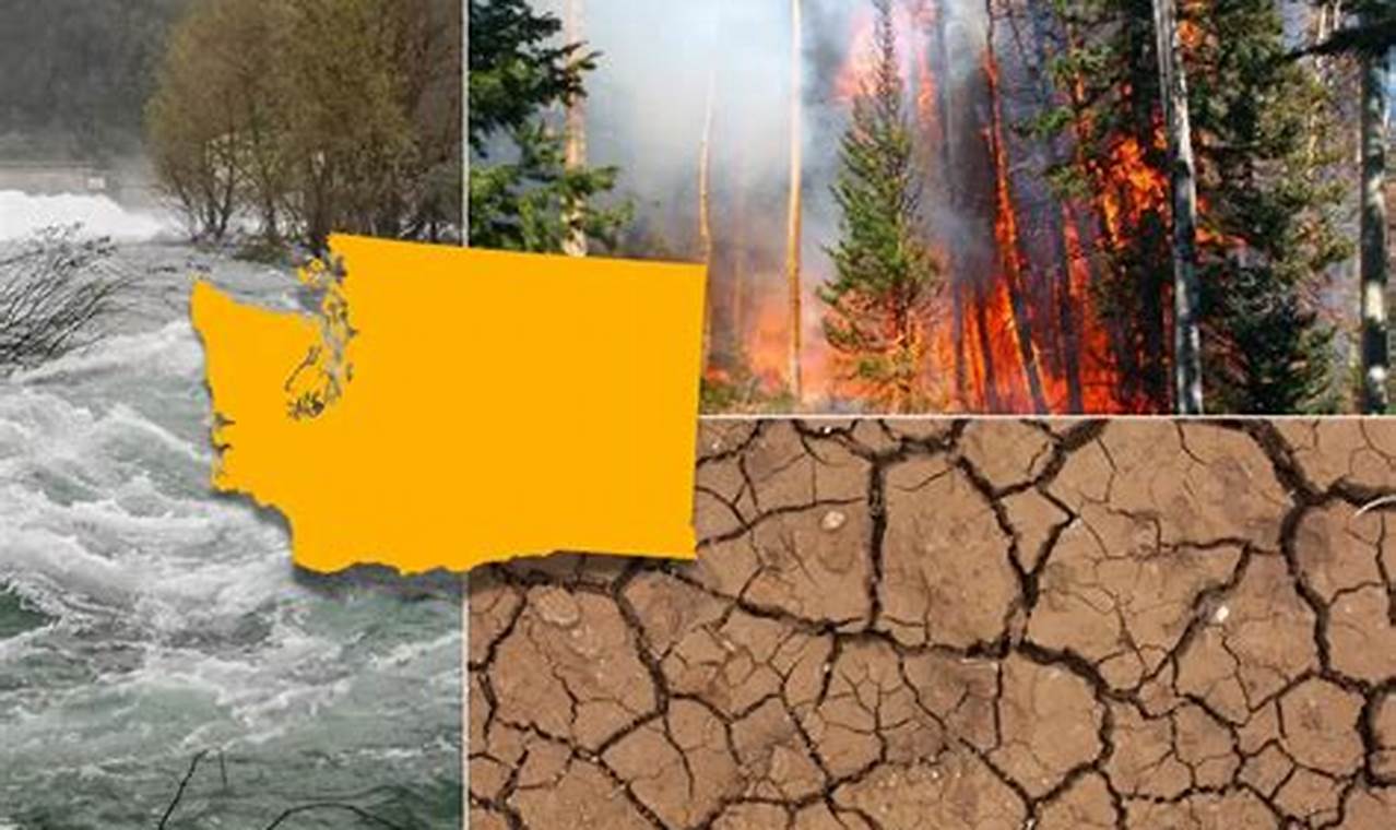 Natural Disasters Washington | Disaster Information Hub – Latest Natural Disaster News & Emergency Resources