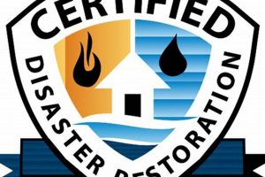 Top Certified Disaster Restoration Company Experts | Disaster Information Hub – Latest Natural Disaster News & Emergency Resources