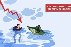 Using SBA Disaster Loans: A Complete Guide Disaster Information Hub – Latest Natural Disaster News & Emergency Resources Using SBA Disaster Loans: A Complete Guide | Disaster Information Hub – Latest Natural Disaster News & Emergency Resources