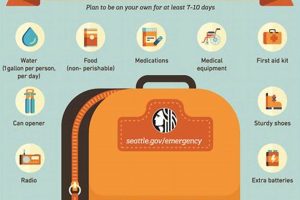 Prepping for Disaster: 5 Essentials | Disaster Information Hub – Latest Natural Disaster News & Emergency Resources