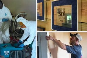 Compassionate Special Touch Disaster Restoration Services Disaster Information Hub – Latest Natural Disaster News & Emergency Resources Compassionate Special Touch Disaster Restoration Services | Disaster Information Hub – Latest Natural Disaster News & Emergency Resources