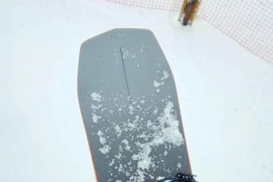 Bataleon Disaster Plus Review: Epic Ride or Total Fail? Disaster Information Hub – Latest Natural Disaster News & Emergency Resources Bataleon Disaster Plus Review: Epic Ride or Total Fail? | Disaster Information Hub – Latest Natural Disaster News & Emergency Resources