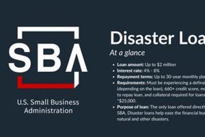 Access SBA Disaster Loan Portal Login | Disaster Information Hub – Latest Natural Disaster News & Emergency Resources