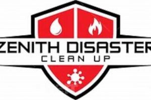 Top Zenith Disaster Clean Up Reviews & Ratings | Disaster Information Hub – Latest Natural Disaster News & Emergency Resources