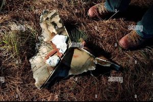 Columbia Shuttle Disaster: Remains Recovery and Identification Disaster Information Hub – Latest Natural Disaster News & Emergency Resources Columbia Shuttle Disaster: Remains Recovery and Identification | Disaster Information Hub – Latest Natural Disaster News & Emergency Resources