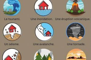 Personal Disaster Strikes Frances: A Case Study | Disaster Information Hub – Latest Natural Disaster News & Emergency Resources