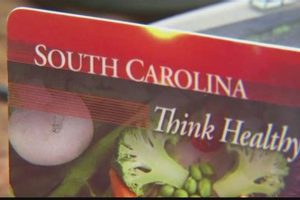 SC Disaster Food Stamps Guide & Application Disaster Information Hub – Latest Natural Disaster News & Emergency Resources SC Disaster Food Stamps Guide & Application | Disaster Information Hub – Latest Natural Disaster News & Emergency Resources