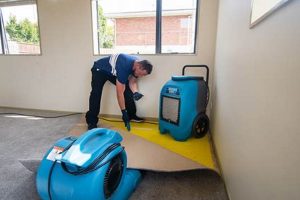 Top Disaster Cleanup Companies & Services Disaster Information Hub – Latest Natural Disaster News & Emergency Resources Top Disaster Cleanup Companies & Services | Disaster Information Hub – Latest Natural Disaster News & Emergency Resources