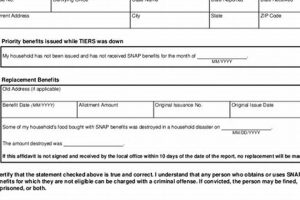 Disaster Snap Forms: Rapid Data Collection in Emergencies | Disaster Information Hub – Latest Natural Disaster News & Emergency Resources
