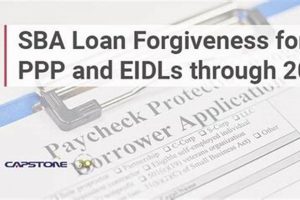 SBA Disaster Loan Forgiveness: Access the Portal & Apply | Disaster Information Hub – Latest Natural Disaster News & Emergency Resources
