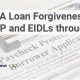 SBA Disaster Loan Forgiveness: Access the Portal & Apply | Disaster Information Hub – Latest Natural Disaster News & Emergency Resources