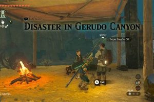 Surviving Gerudo Canyon's Devastating Disaster | Disaster Information Hub – Latest Natural Disaster News & Emergency Resources