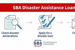 Apply for SBA Disaster Loans: Fast & Easy | Disaster Information Hub – Latest Natural Disaster News & Emergency Resources