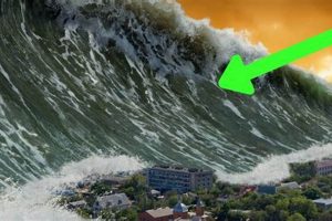 Historic Disasters: Lessons &amp; Legacies | Disaster Information Hub – Latest Natural Disaster News & Emergency Resources