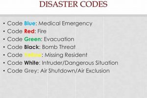 Home Health Disaster Code: Prep & Response | Disaster Information Hub – Latest Natural Disaster News & Emergency Resources