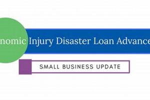 Applying for Economic Disaster Loans: A Guide | Disaster Information Hub – Latest Natural Disaster News & Emergency Resources