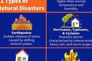 Understanding Different Kinds of Disasters: A Guide | Disaster Information Hub – Latest Natural Disaster News & Emergency Resources