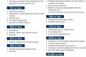 Prep for Storms: FL Disaster Tax Holiday 2024 Guide | Disaster Information Hub – Latest Natural Disaster News & Emergency Resources