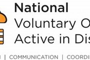 Essential Guide to VOAD: Voluntary Organizations Active in Disaster Relief | Disaster Information Hub – Latest Natural Disaster News & Emergency Resources