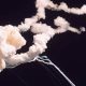 Remembering Challenger: 1986 Space Shuttle Tragedy | Disaster Information Hub – Latest Natural Disaster News & Emergency Resources