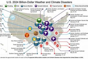 Predicting Disasters 2024: Be Prepared | Disaster Information Hub – Latest Natural Disaster News & Emergency Resources