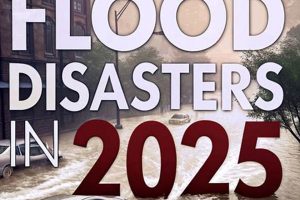 Predicting Disasters in 2025: Are We Ready? | Disaster Information Hub – Latest Natural Disaster News & Emergency Resources