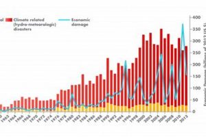 Top 10 Major Disasters: 2014-2024 | Disaster Information Hub – Latest Natural Disaster News & Emergency Resources