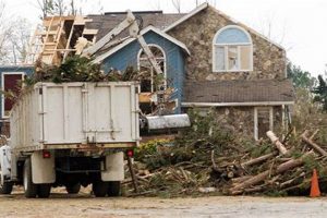 Pro Disaster Cleaning & Restoration Services | Disaster Information Hub – Latest Natural Disaster News & Emergency Resources