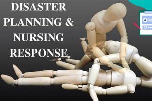 Is It a Disaster RN? Handling Urgent Situations | Disaster Information Hub – Latest Natural Disaster News & Emergency Resources