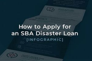 SBA Disaster Loan Qualifications: A Complete Guide | Disaster Information Hub – Latest Natural Disaster News & Emergency Resources