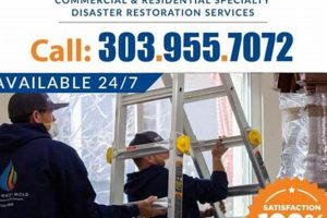 Top Disaster Restoration Denver Services & Experts | Disaster Information Hub – Latest Natural Disaster News & Emergency Resources