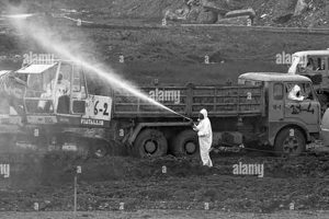 Italy's Seveso Disaster: A Toxic Legacy | Disaster Information Hub – Latest Natural Disaster News & Emergency Resources