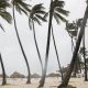 Dominican Republic Natural Disaster Guide | Disaster Information Hub – Latest Natural Disaster News & Emergency Resources