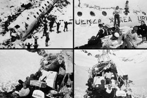 Andes Flight Disaster: 1972 Survival Story Disaster Information Hub – Latest Natural Disaster News & Emergency Resources Andes Flight Disaster: 1972 Survival Story | Disaster Information Hub – Latest Natural Disaster News & Emergency Resources