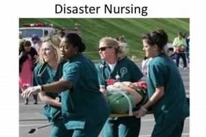 Nursing in Disasters: A Practical Guide | Disaster Information Hub – Latest Natural Disaster News & Emergency Resources