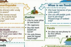 Ultimate Slang for Disasters: A Full Guide | Disaster Information Hub – Latest Natural Disaster News & Emergency Resources