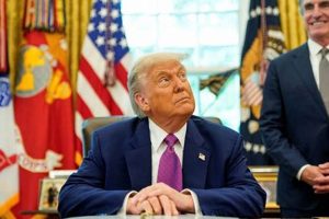 Trump's 2020 Polling Disaster: Analysis & Impact | Disaster Information Hub – Latest Natural Disaster News & Emergency Resources