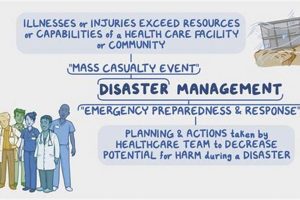 Hospital Disaster Preparedness: Key Department &amp; Role | Disaster Information Hub – Latest Natural Disaster News & Emergency Resources