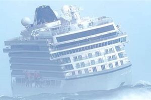 Viking Sky Cruise Disaster: A Survival Story Disaster Information Hub – Latest Natural Disaster News & Emergency Resources Viking Sky Cruise Disaster: A Survival Story | Disaster Information Hub – Latest Natural Disaster News & Emergency Resources
